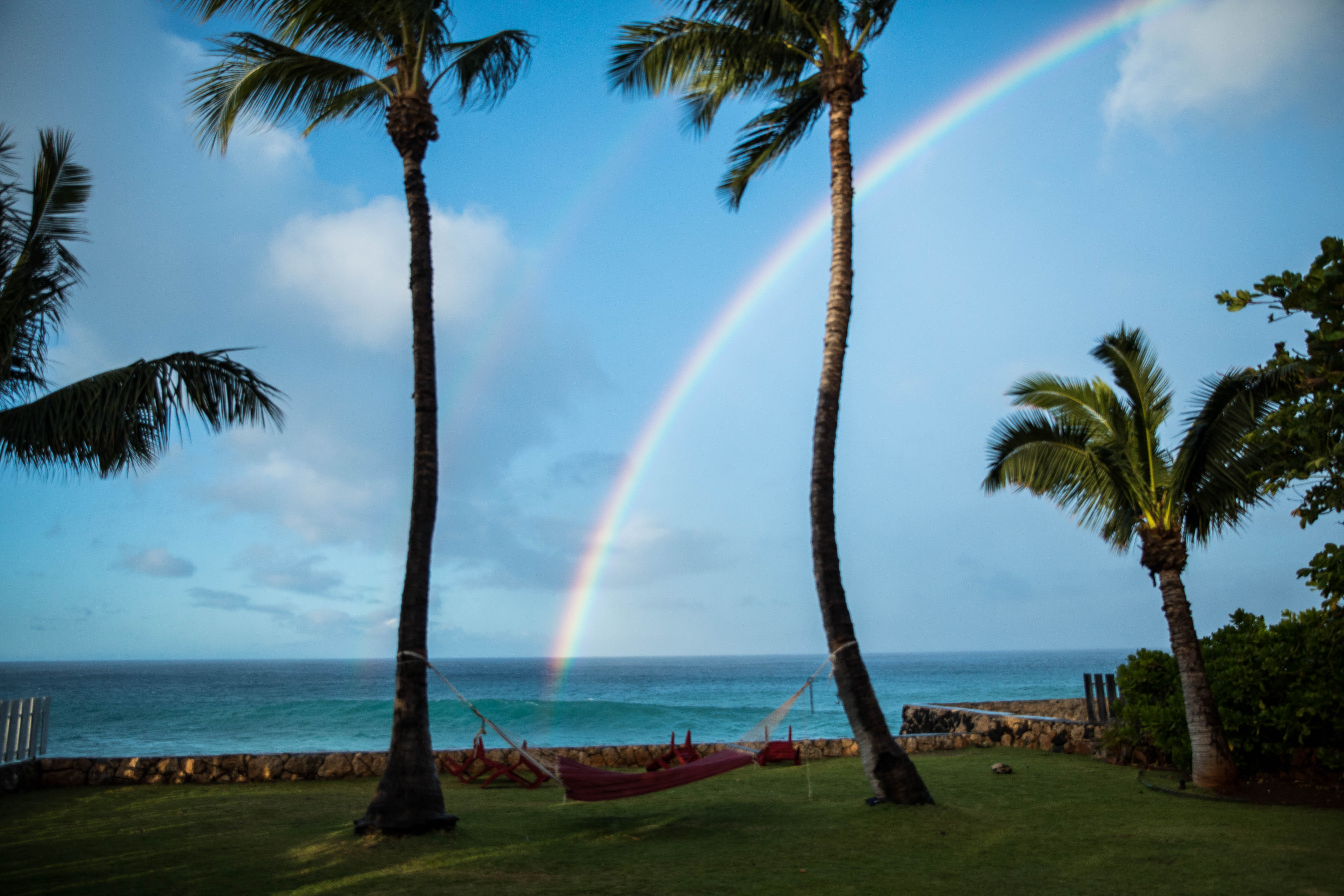 Hawaii 16