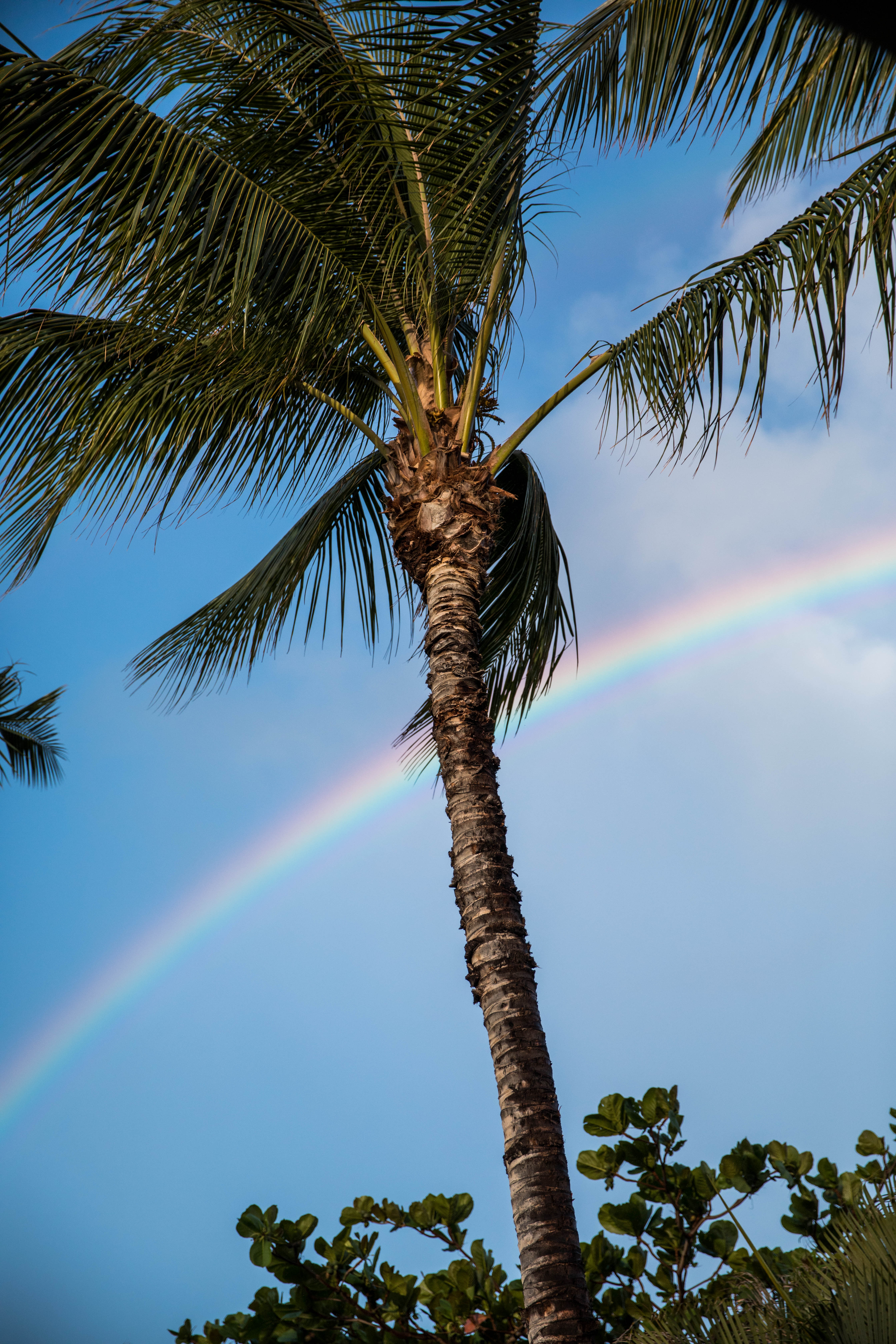 Hawaii Photography