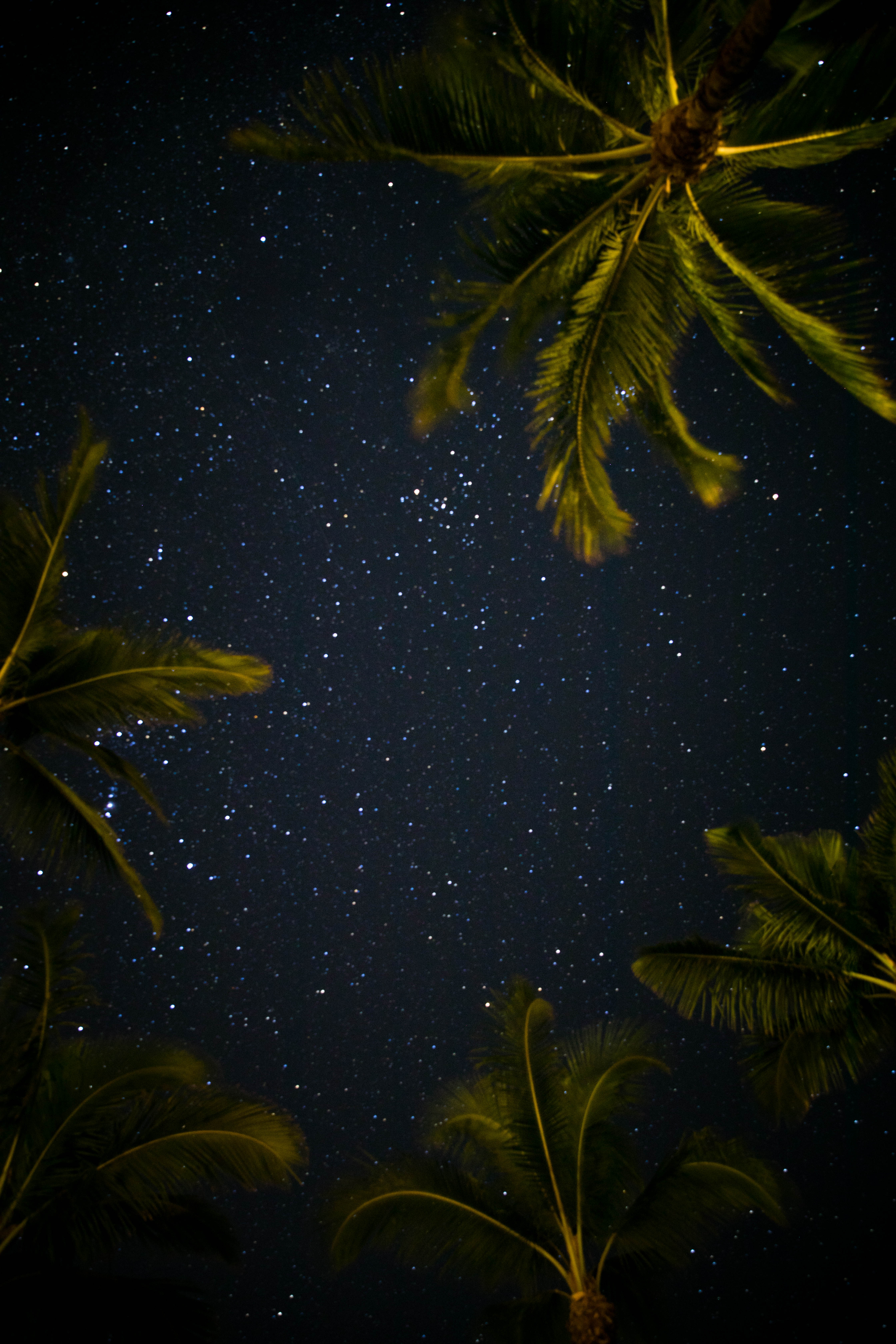 Hawaii 21